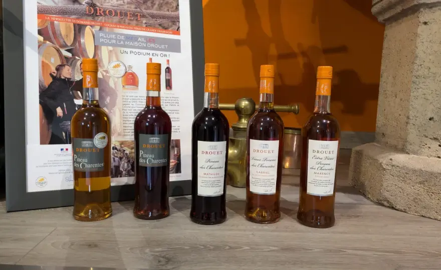 Meilleur Pineau des Charentes - Le guide pour bien choisir