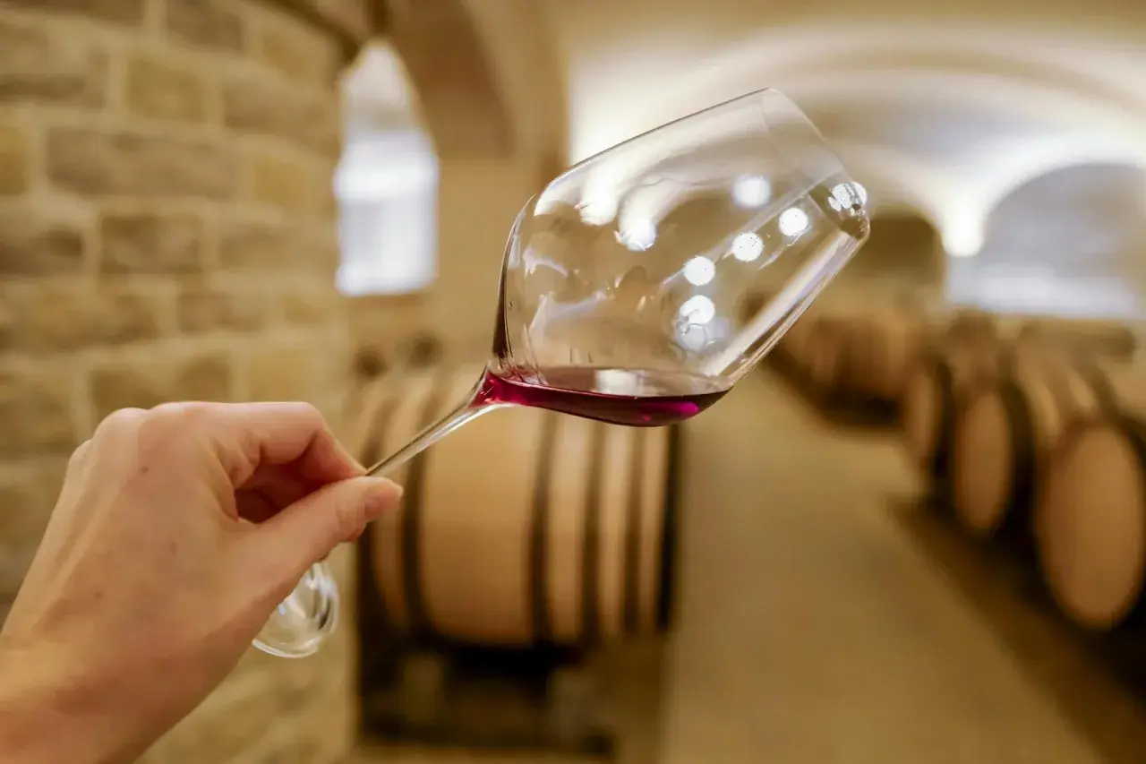 Main d'une personne tenant un verre de vin rouge dans une cave à vin, avec des tonneaux en arrière-plan. Quel vin bourguignon ?