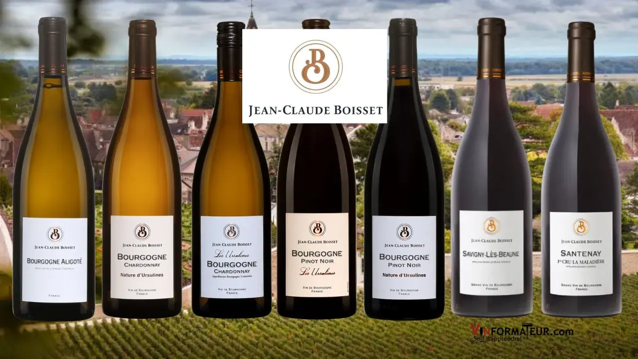 Six bouteilles de vin de Bourgogne, dont des Pinot Noir et Chardonnay, signées Jean-Claude Boisset, sur fond de vignoble.
