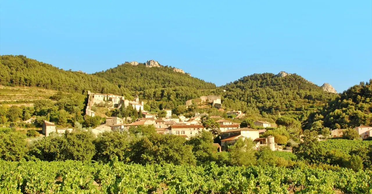 Vue d'un village pittoresque niché sur une colline boisée, avec des vignes au premier plan. Le domaine des bosquets semble paisible sous un ciel bleu clair.