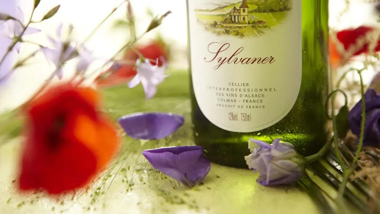 Bouteille de Sylvaner, le meilleur vin d'Alsace, entourée de coquelicots et de fleurs bleues.
