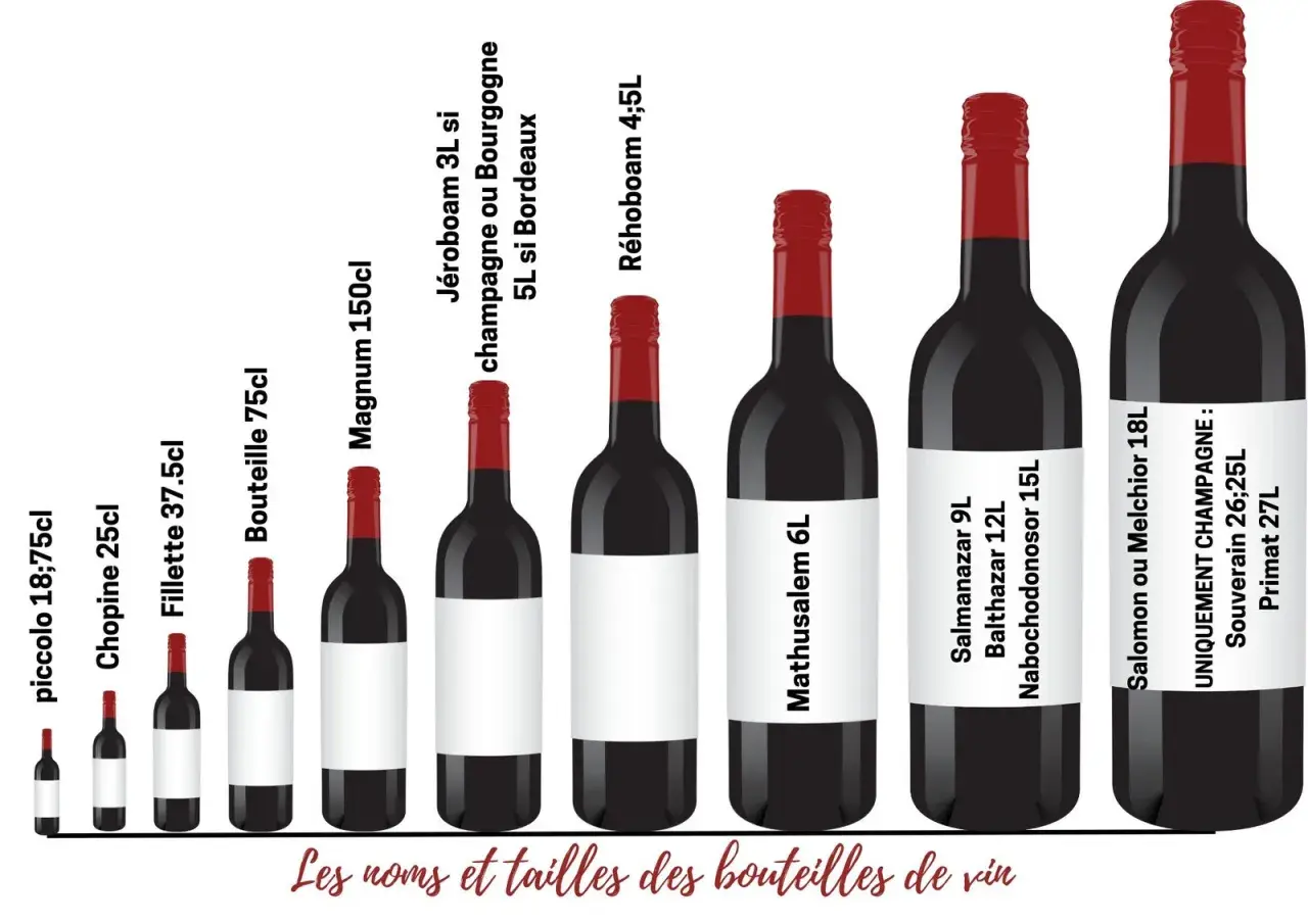 Illustration de bouteilles de vin de différentes tailles, du piccolo au Primat, pour apprendre à lire une étiquette de vin.