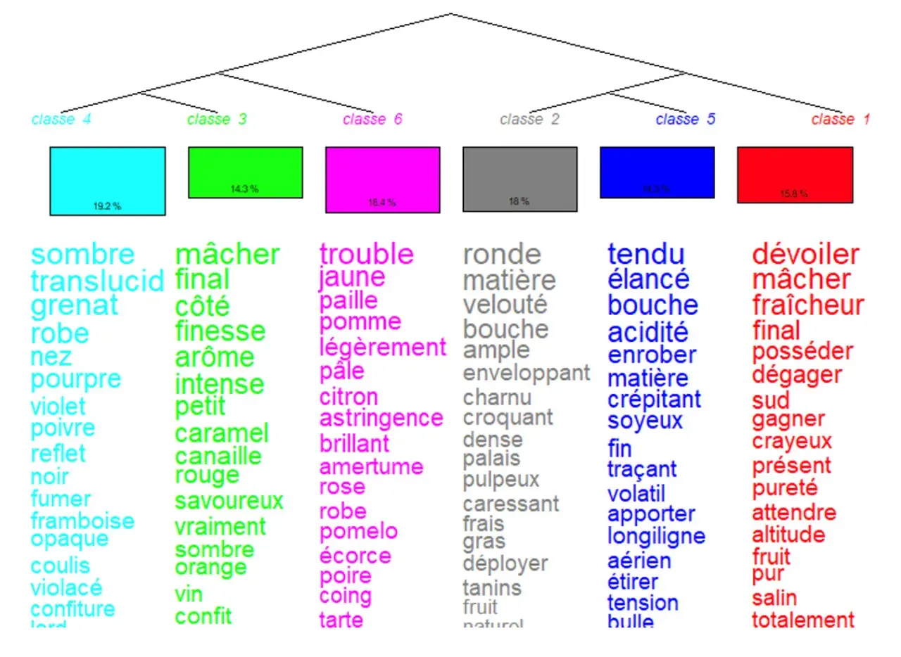 Arbre de classification des vins, avec des mots décrivant la couleur, l'arôme et la texture. La densité du vin rouge est évoquée par des termes comme "sombre", "grenat", "pourpre", "noir", "fumer", "framboise", "opaque", "coulis", "violacé", "confiture...