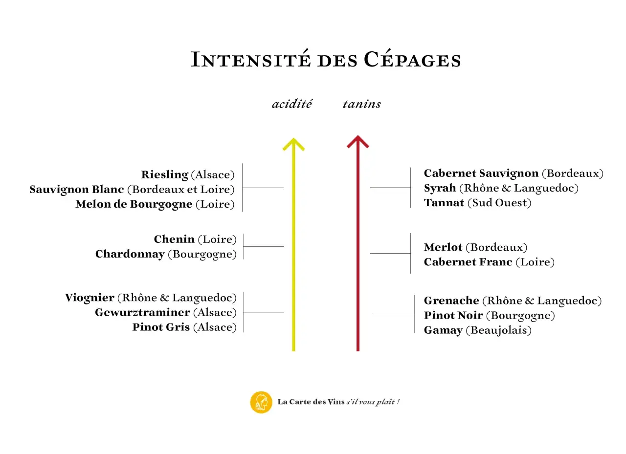 Graphique comparant l'acidité et les tanins de divers cépages, dont le Pinot Noir de Bourgogne.