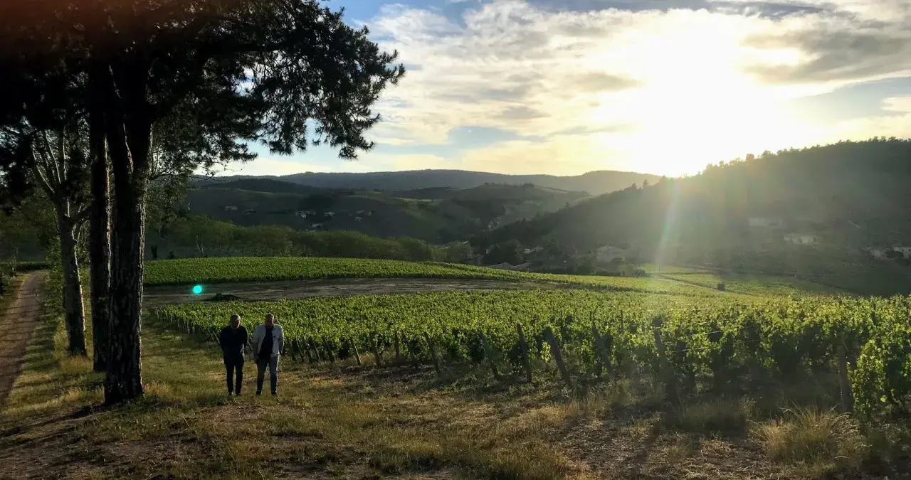 Deux hommes se promènent dans les vignes au coucher du soleil, près du **château de Poncié**. Le paysage vallonné est baigné d'une lumière dorée.