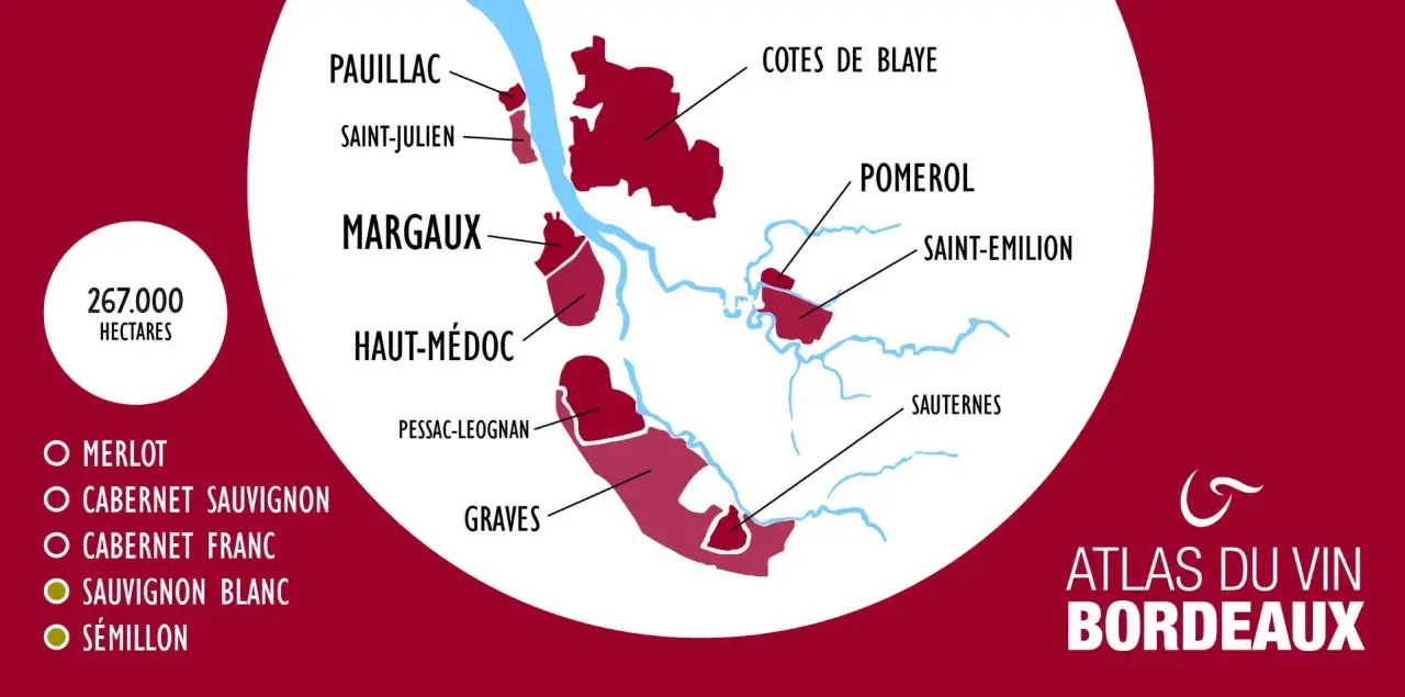 Carte illustrant la classification des vins de Bordeaux, avec les appellations comme Pauillac, Margaux, Pomerol, et les cépages principaux.