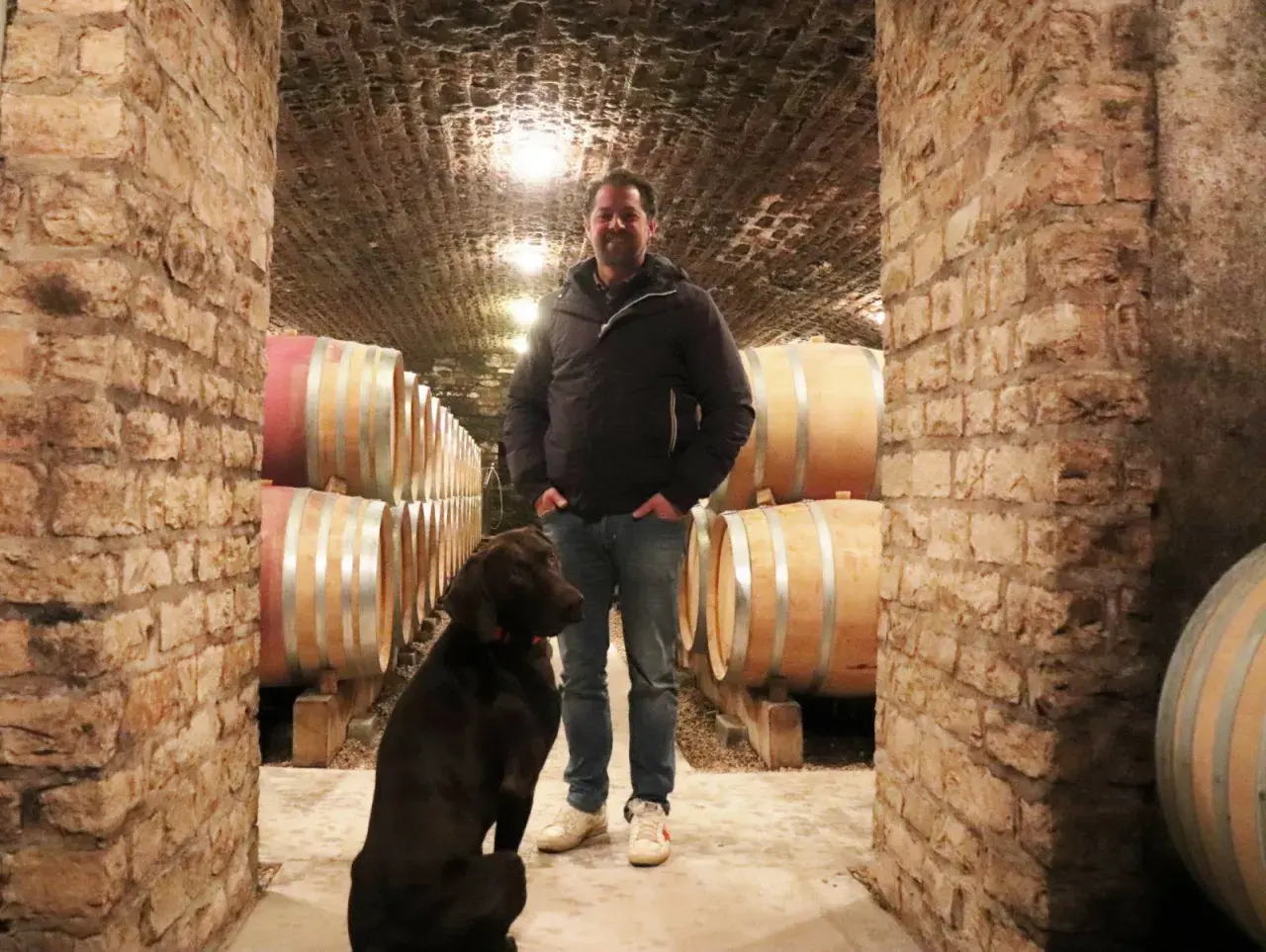 Denis Mortet, un vigneron passionné, pose dans sa cave aux côtés de son fidèle compagnon, un chien brun, entourés de fûts de vin en chêne.