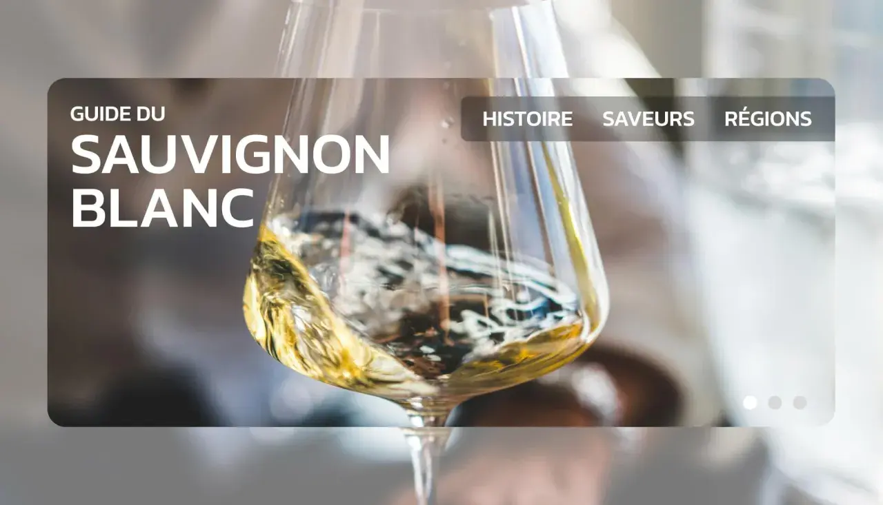 Un verre de vin blanc tourbillonne, promesse du meilleur vin blanc au monde. Guide du Sauvignon Blanc.