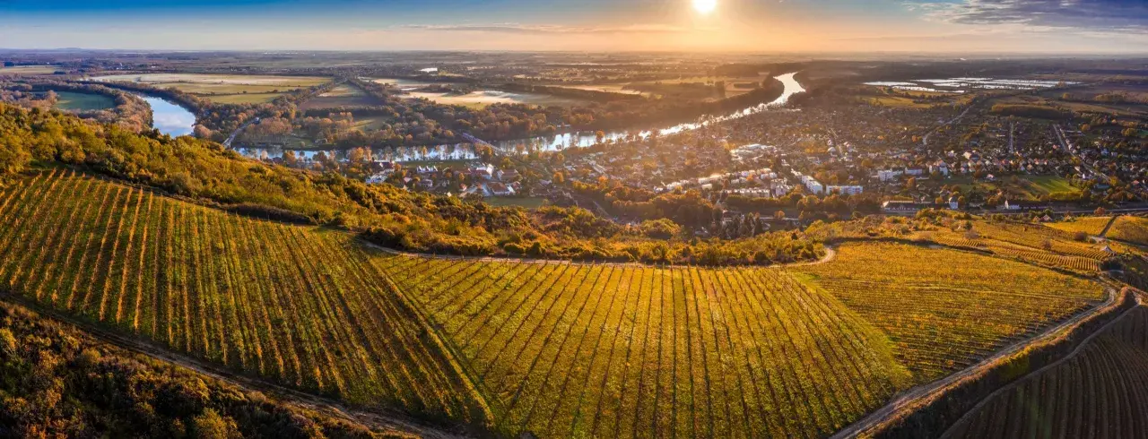 Vignoble doré baigné par le soleil, avec un village et une rivière en arrière-plan. Un paysage typique pour un vin hongrois.