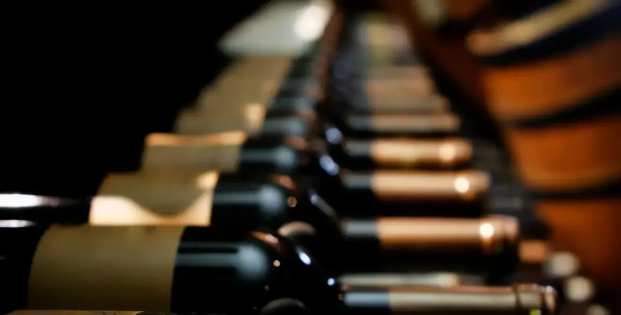Des bouteilles de vin alignées, évoquant les meilleurs vins du Roussillon, dans une cave sombre.