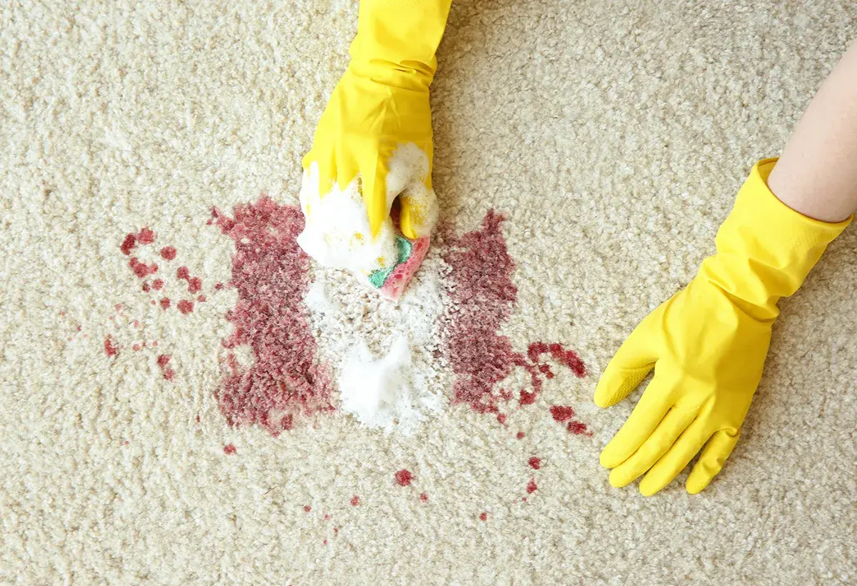 Main jaune, une main frotte une tache de vin rouge sur un tapis crème avec une éponge savonneuse.