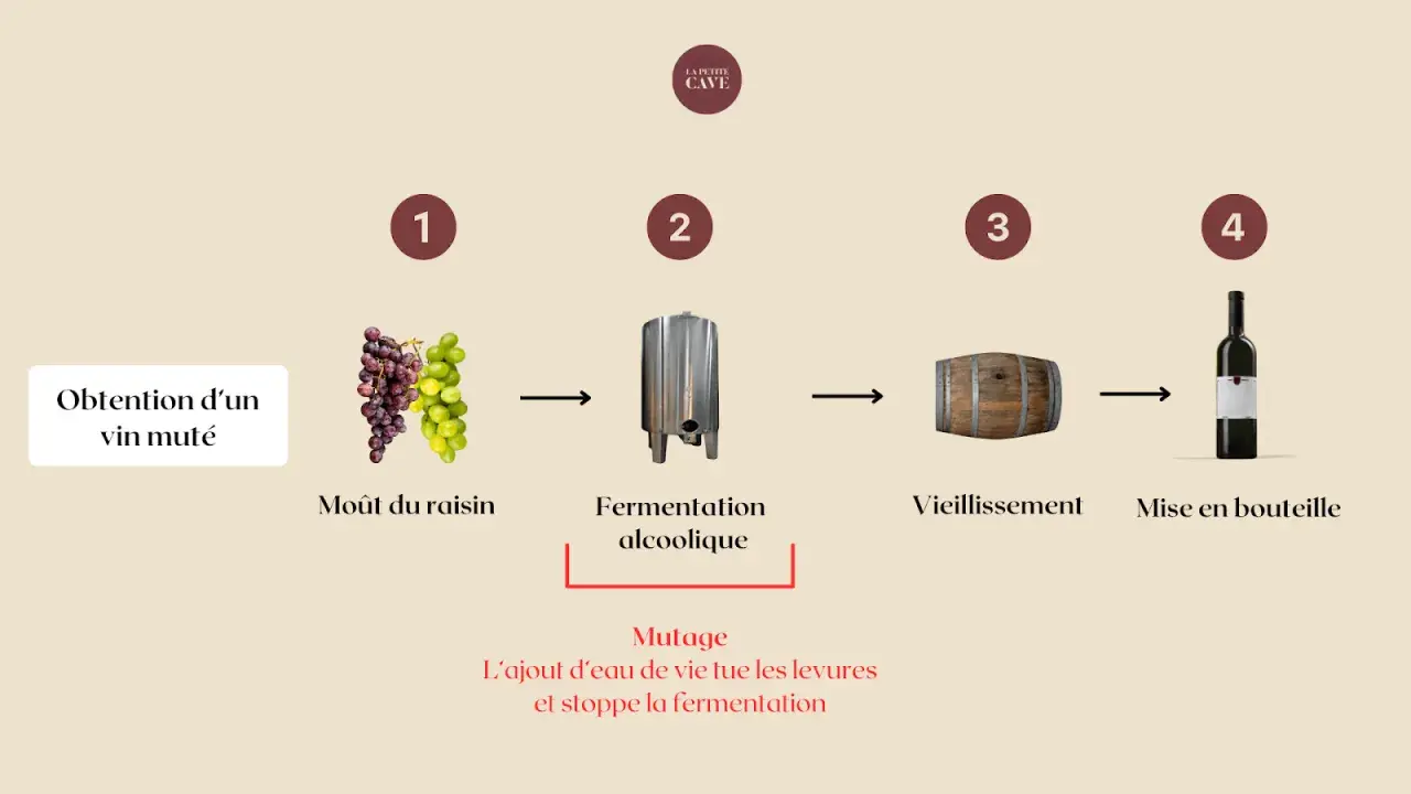 Schéma de fabrication d'un vin muté : moût de raisin, fermentation, vieillissement, mise en bouteille. Le mutage stoppe la fermentation.
