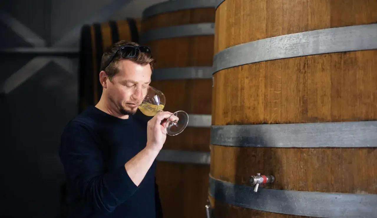 Un homme déguste un verre de vin blanc, peut-être un chardonnay, dans une cave à vin.