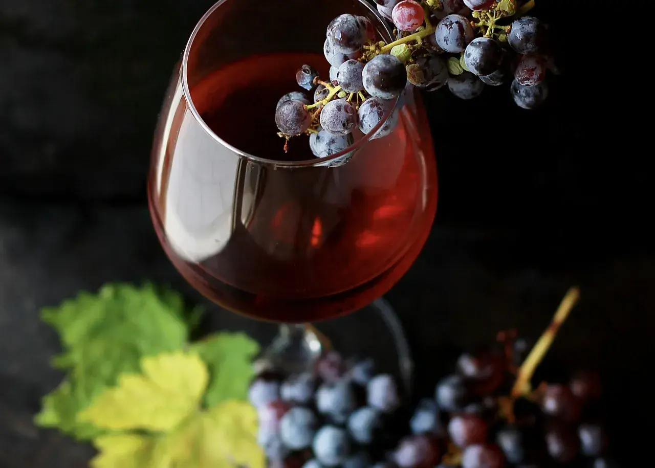 Verre de vin rouge avec des grappes de raisin, évoquant la conservation du beaujolais nouveau.
