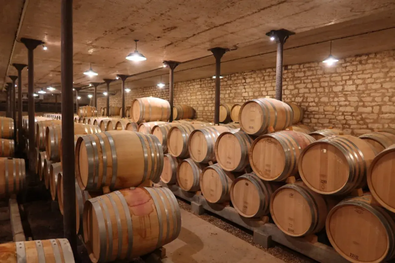 Cave à vin de Jacques Prieur, remplie de fûts en bois empilés, prêts à vieillir le vin.