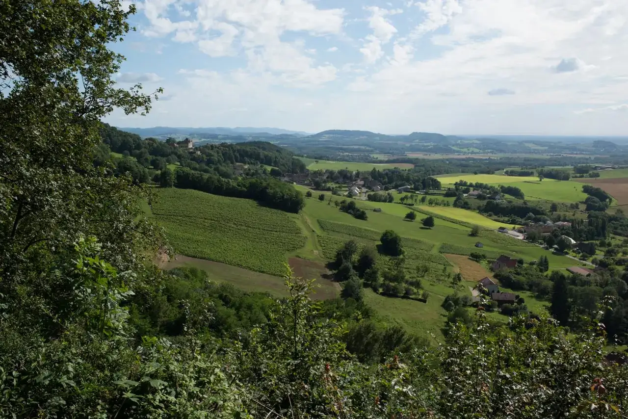 Vue panoramique sur le domaine Labet, avec des vignobles verdoyants, des champs et un village nich&eacute; dans la vall&eacute;e.