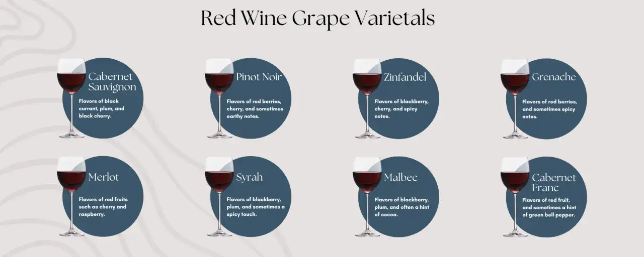 D&eacute;finition c&eacute;page : illustration de vins rouges (Cabernet Sauvignon, Pinot Noir, Zinfandel, Grenache, Merlot, Syrah, Malbec, Cabernet Franc) et leurs ar&ocirc;mes.