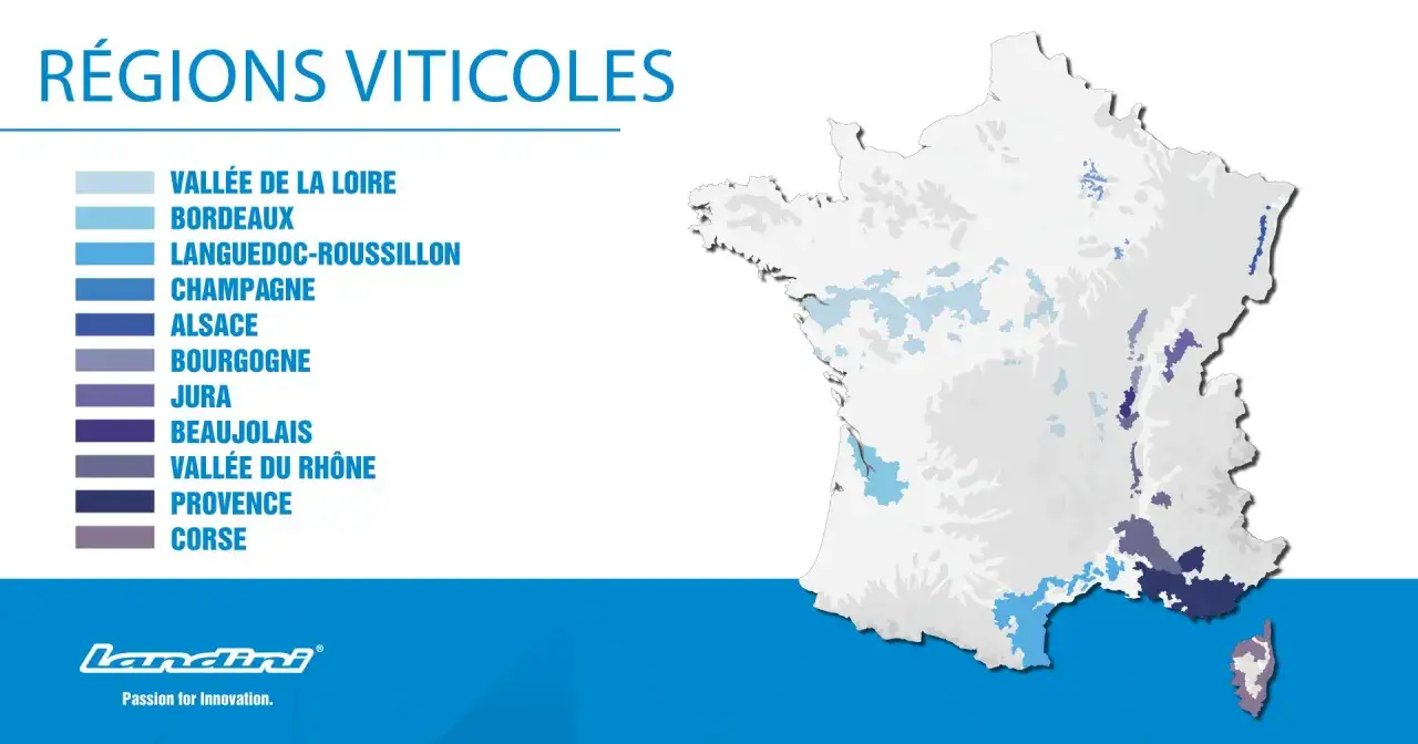 Carte des régions viticoles françaises. Elle montre la diversité des terroirs, suggérant combien de cépage en France.