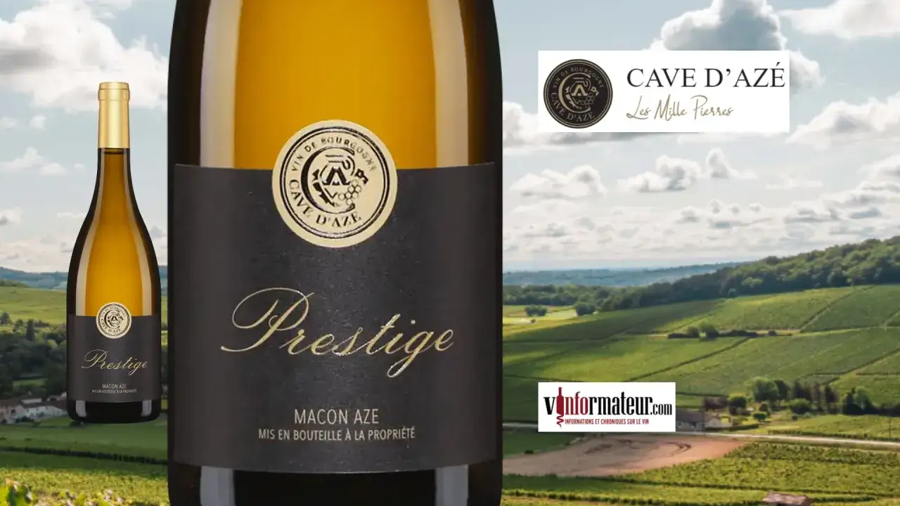 Bouteille de M&acirc;con AZE Prestige, Cave d'Aze. Un vin qui pourrait bien &ecirc;tre le meilleur vin blanc au monde, avec un paysage de vignobles en arri&egrave;re-plan.