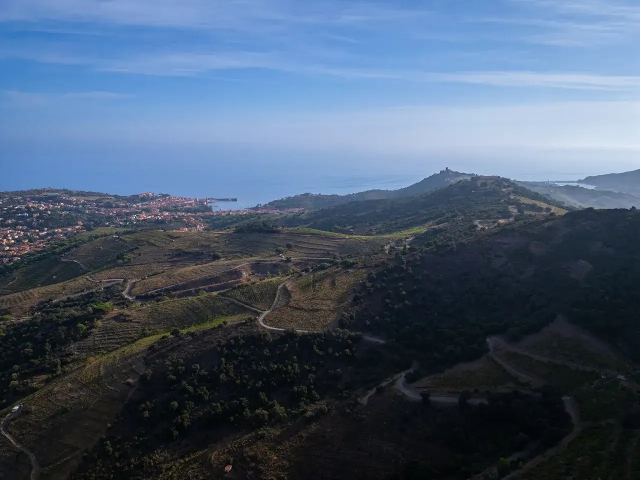 Paysages de vignobles en terrasses menant à Collioure, terre des meilleurs vins de Collioure. La mer bleue s'étend à l'horizon.
