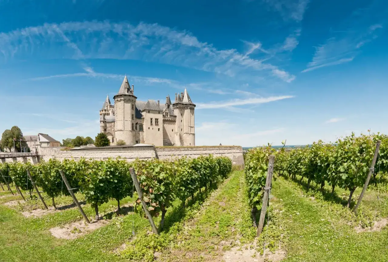Un majestueux château de la Loire se dresse derrière un mur de pierre, avec des vignes luxuriantes au premier plan sous un ciel bleu éclatant.
