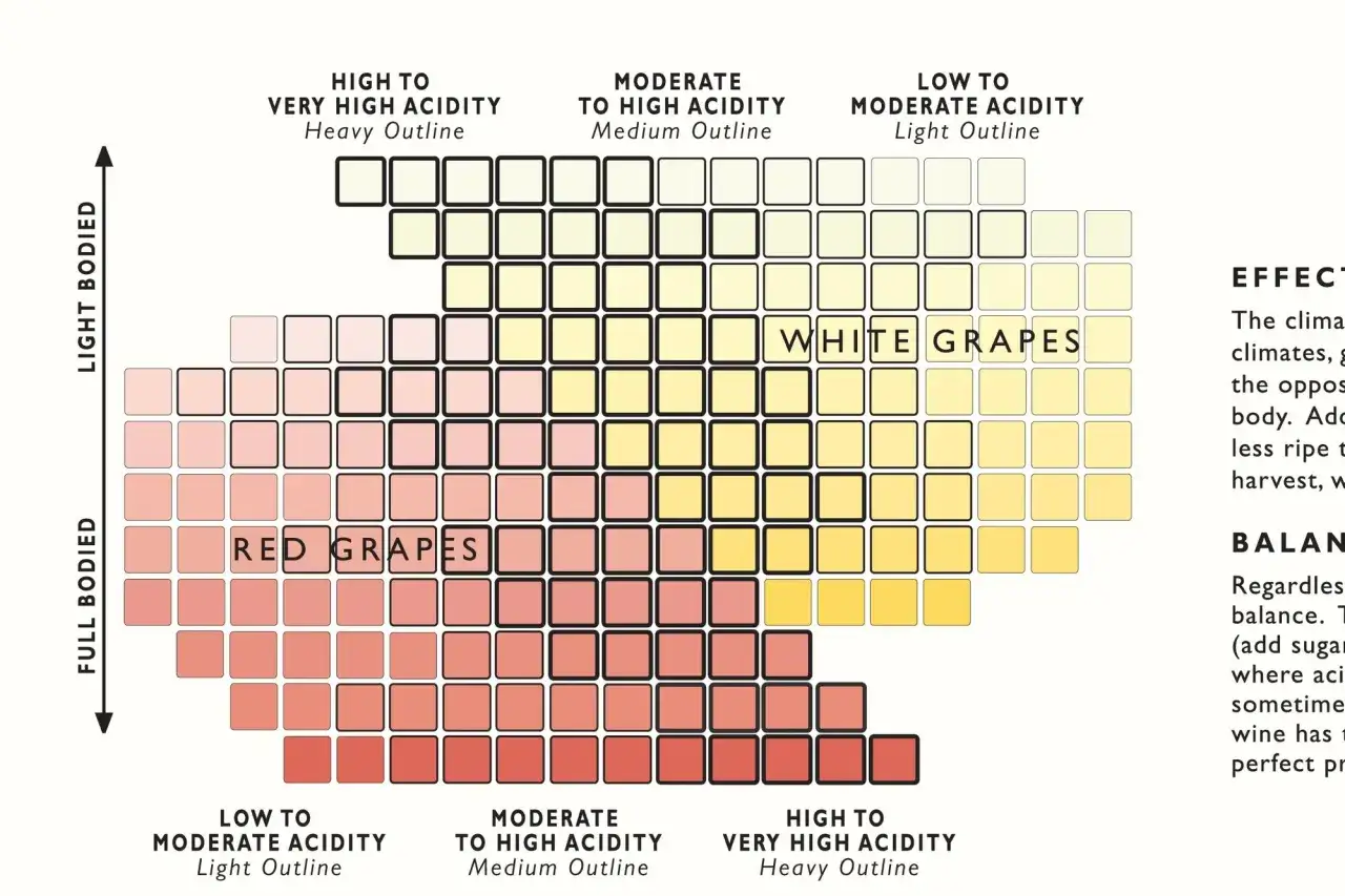 Tableau des c&eacute;pages : corps, acidit&eacute; et couleur. Le nom de c&eacute;page top 7 est repr&eacute;sent&eacute; par des carr&eacute;s color&eacute;s.