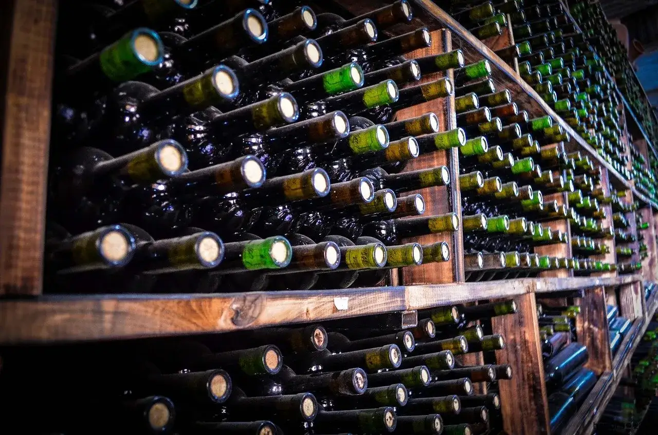 Des bouteilles de vin rouge en conservation, alignées sur des étagères en bois. La lumière met en valeur les cols et les bouchons.