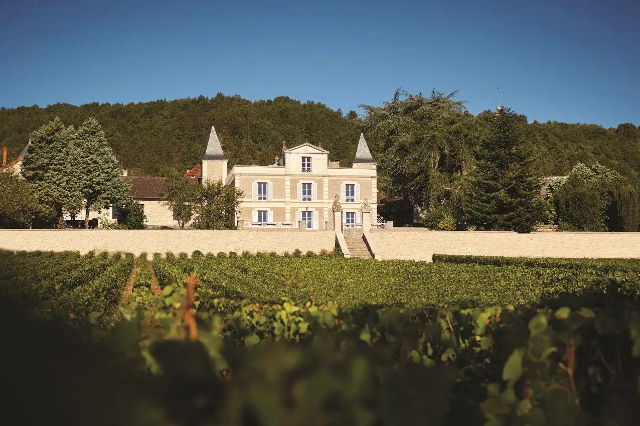Le château de Prosper Maufoux, entouré de vignobles verdoyants, se dresse majestueusement sous un ciel bleu clair.