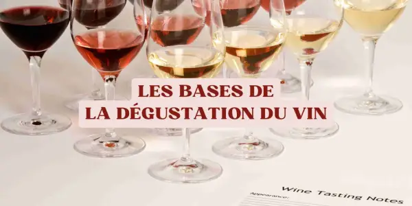 Verres de vin rouge, rosé et blanc alignés, prêts pour une dégustation. Les bases du vin expliquées.