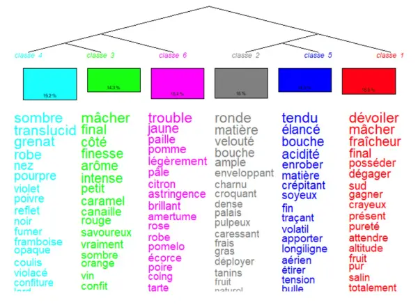 Arbre de classification des vins, avec des mots décrivant la couleur, l'arôme et la texture. La densité du vin rouge est évoquée par des termes comme "sombre", "grenat", "pourpre", "noir", "fumer", "framboise", "opaque", "coulis", "violacé", "confiture...