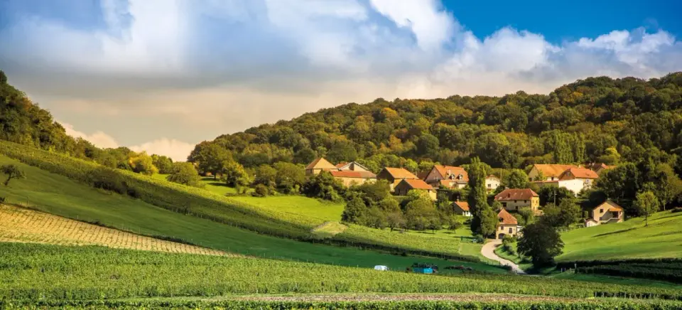 Domaine Roumier - Le guide pour comprendre et choisir ses vins